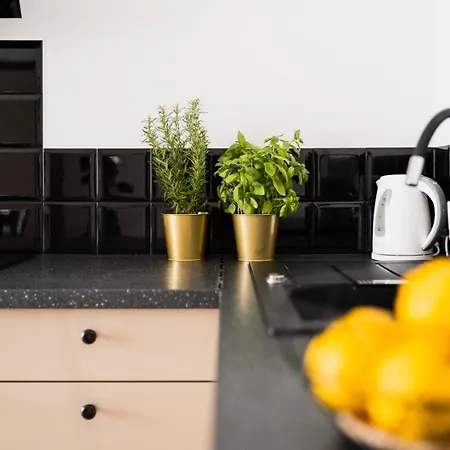 Old Town - 3 - 2 Bathrooms - 12 People - Parking Place * Wrocław